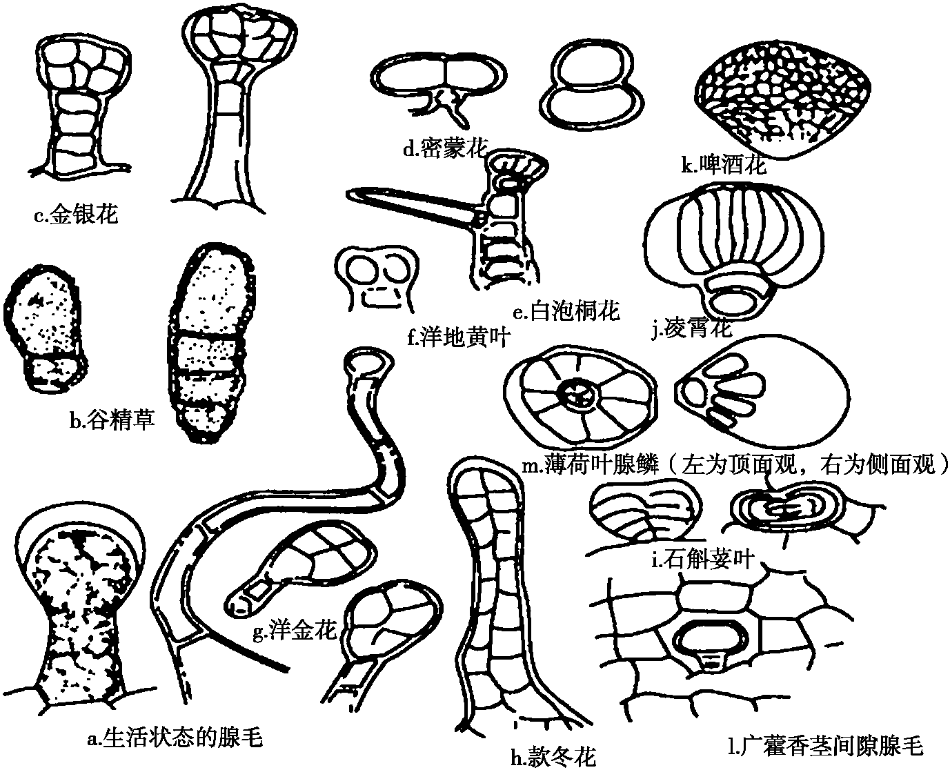 任務(wù)一 保護(hù)組織